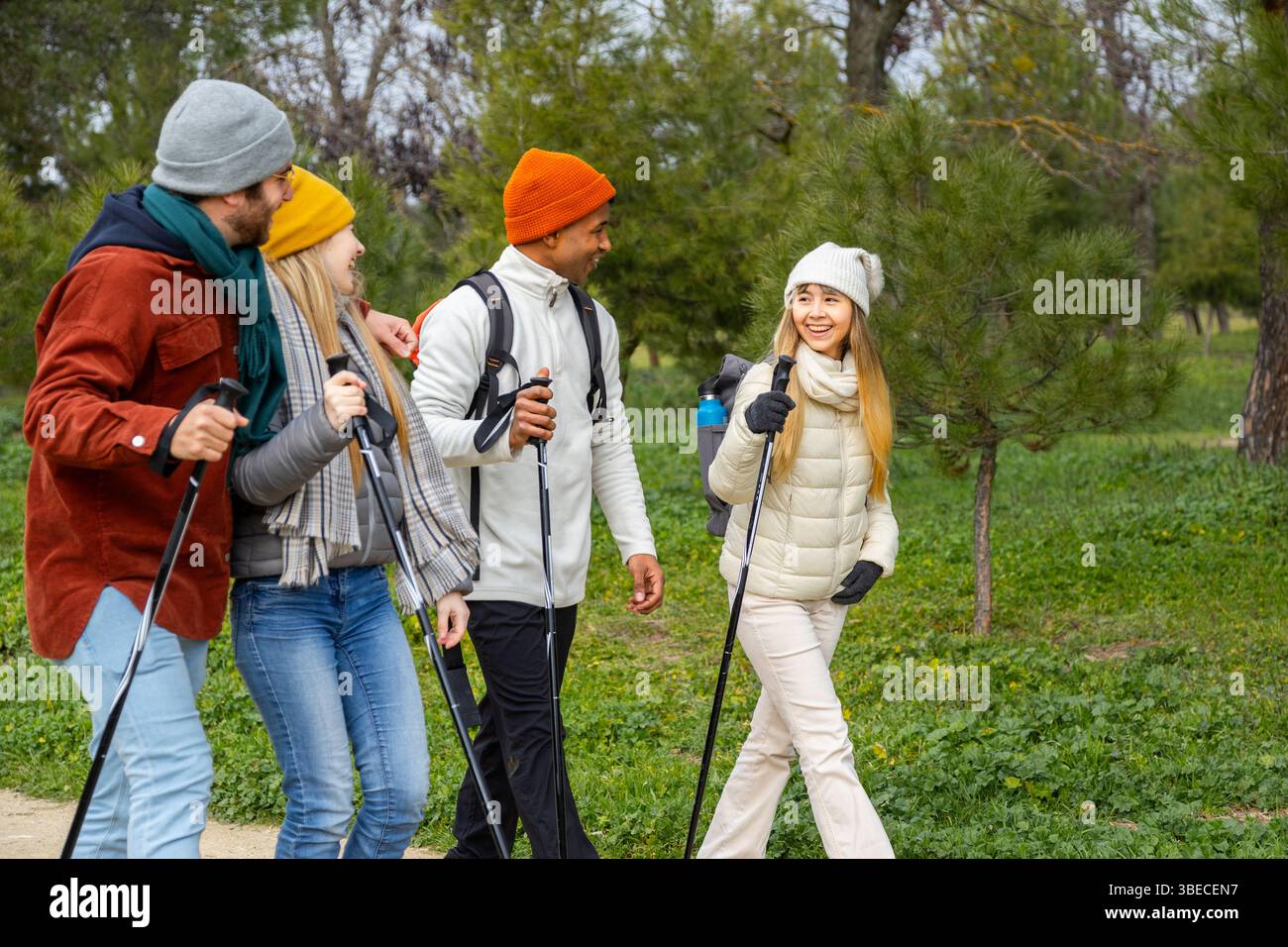 Vier Freunde machen im Winter eine Wanderung in einem Park, mit Trekkingstöcken und Rucksäcken, reden und lächeln Stockfoto