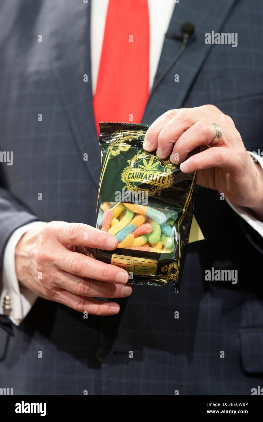 Austin, Tx, USA. Mai 2025. Leutnant Gouverneur Dan Patrick hält THC-infundierte Speiseprodukte, die in texanischen Lebensmittelgeschäften und Tankstellen verkauft werden, die gemäß Senat Bill 3 verboten werden, und geht zum Schreibtisch von Gouverneur Greg Abbott, um Gesetz zu werden. Patrick beschuldigte laut die staatlichen Medien, das Thema zu ignorieren, da er sich vor Abbotts Veto gegen das Prioritätsgesetz fürchte. (Kreditbild: © Bob Daemmrich/ZUMA Press Wire) NUR REDAKTIONELLE VERWENDUNG! Nicht für kommerzielle ZWECKE! Stockfoto