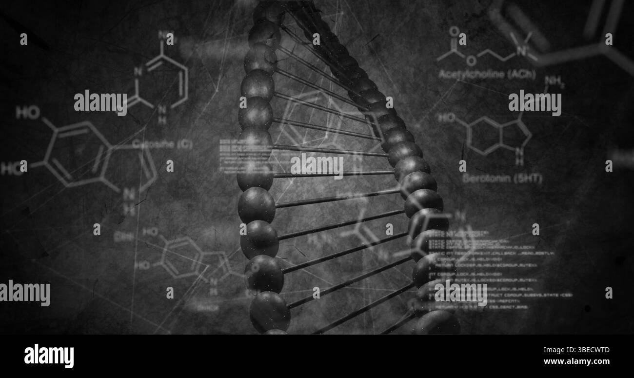 Bild chemischer Strukturen und Datenverarbeitung über dna-Strangspinnen Stockfoto