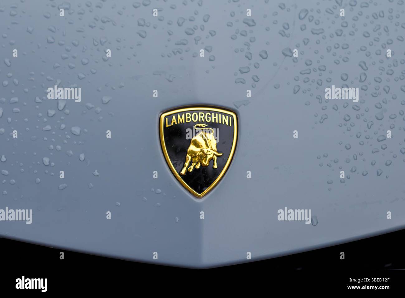 Nürnberg, Deutschland - 25. Mai 2025: Closev eines Lamborghini-Logos auf einer grauen Motorhaube, die mit Wassertropfen bedeckt ist. Das Logo ist Gold, Schwarz und Gelb. Stockfoto