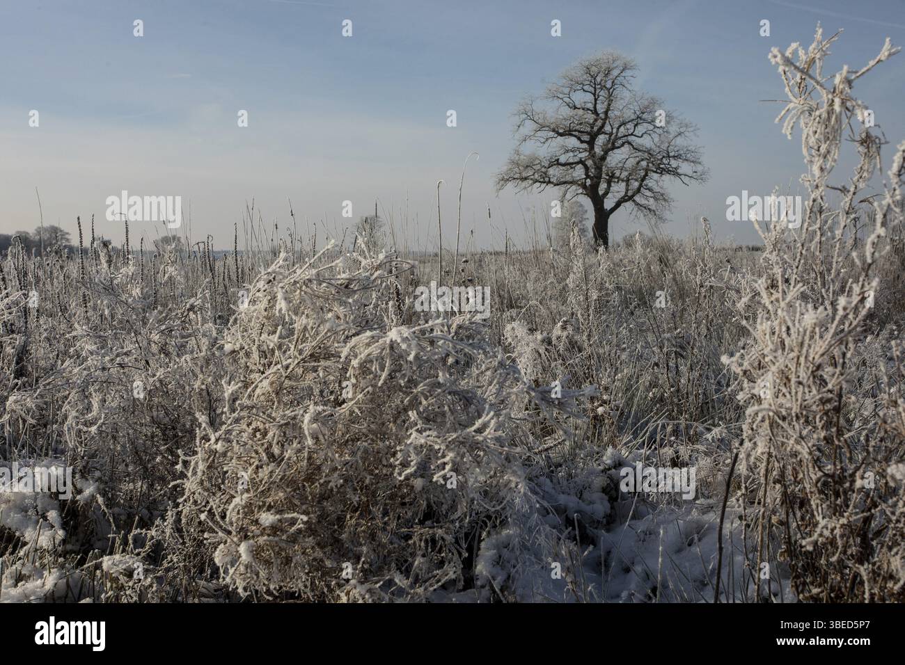 Winterzauber Stockfoto