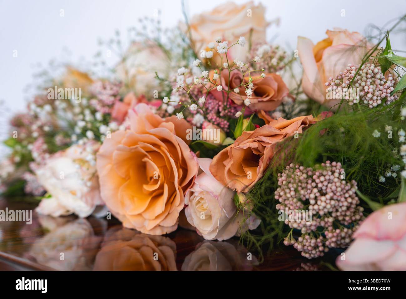 Nahaufnahme von Peach und Pink Roses mit Baby's Atem und grünem Laub Stockfoto