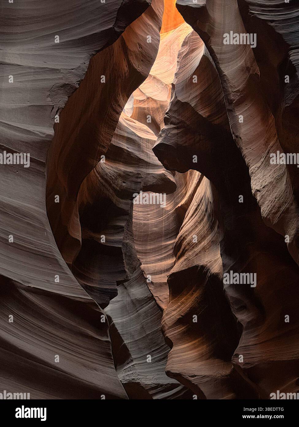 Die fließenden Sandsteinformen des Antelope Canyon glänzen unter gefiltertem Sonnenlicht in dieser legendären Aussicht von der Navajo Nation. Stockfoto