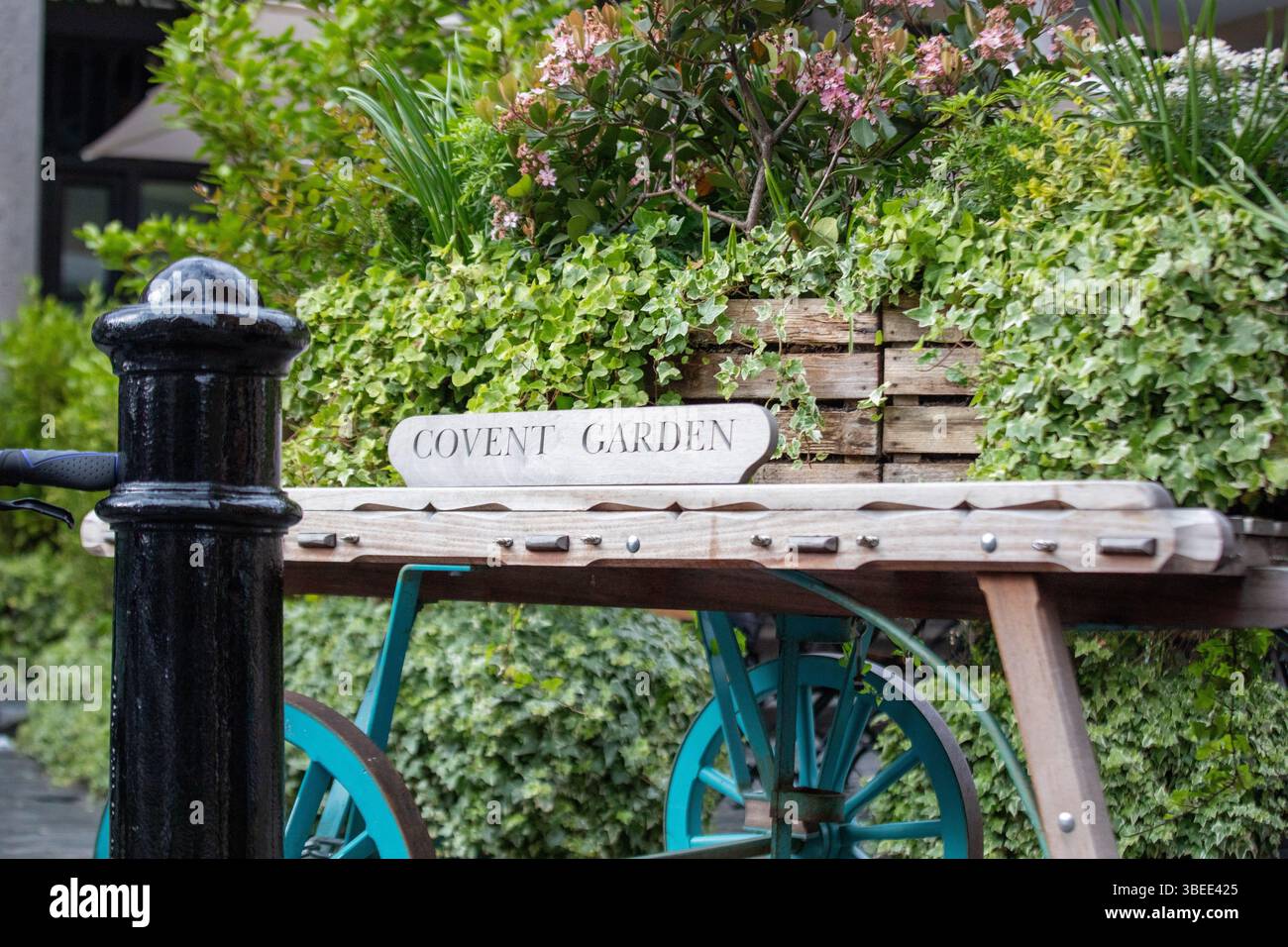 Ein Holzwagen mit weißem Covent Garden Schild und üppigem Grün in London. Stockfoto