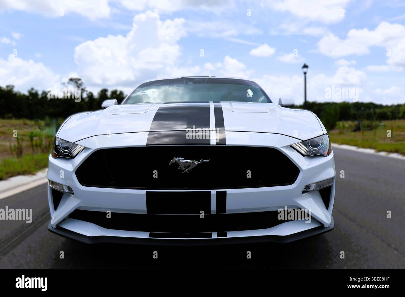 mustang GT Stockfoto
