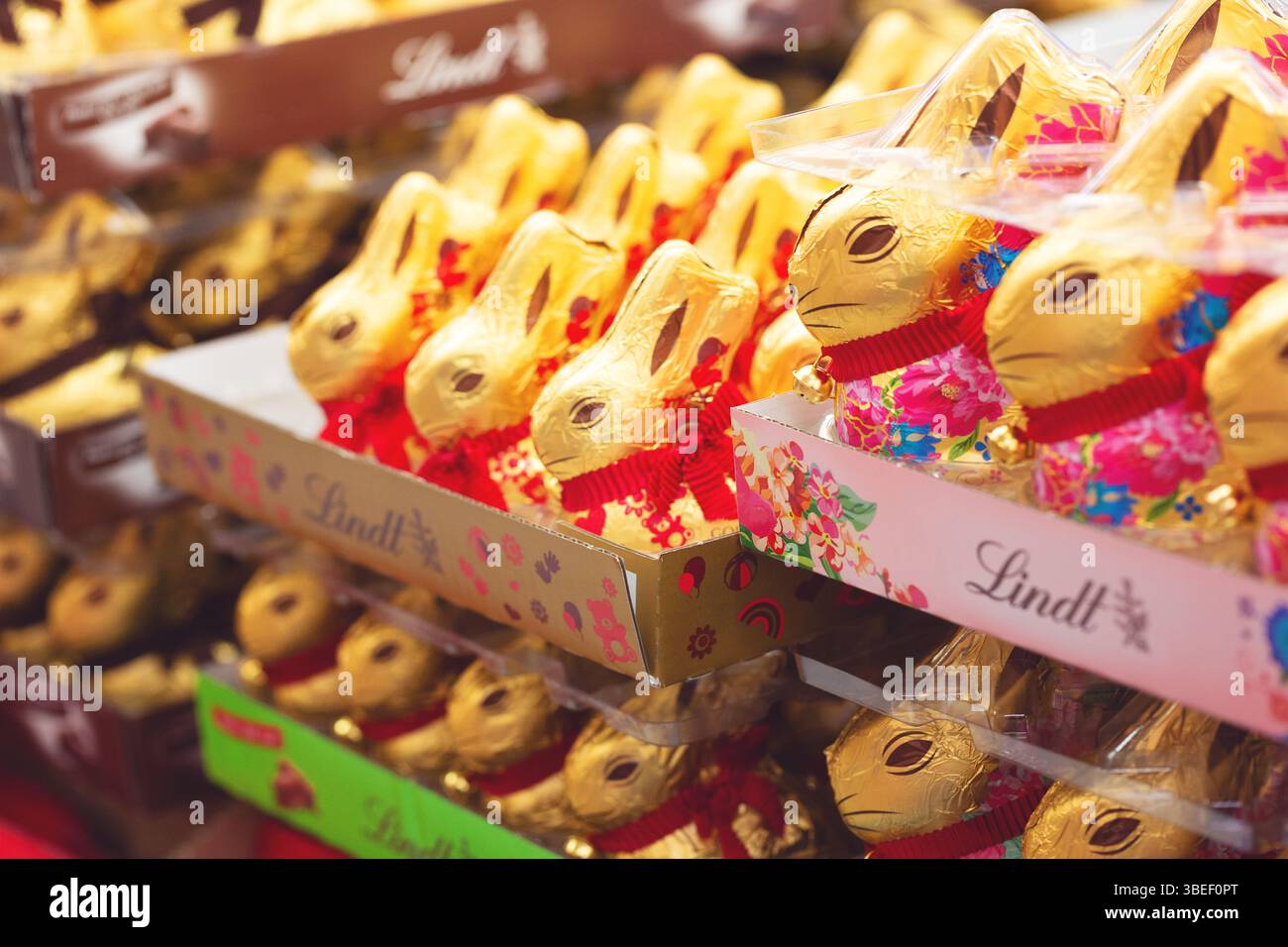 Padua, Italien - 14. April 2025: Lindt Schokoladen-osterkaninchen eines Osterkinchens zum Verkauf in einem italienischen Supermarkt in Padua. Stockfoto