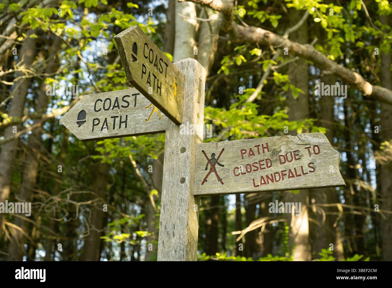 Fingerpfosten auf dem South West Coast Path, der den Weg wegen Landfall geschlossen zeigt. Die Spittles, Lyme Regis, Dorset, Großbritannien Stockfoto