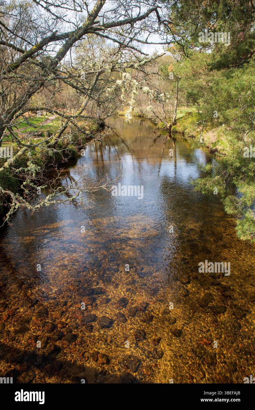 Loch Morlich mit seinem Sandstrand und Waldwegen – ein berühmter Schönheitsort am Fuße der Cairngorm Mountains in Schottland. Stockfoto