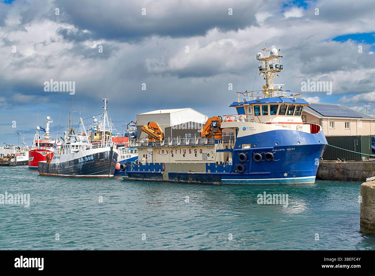 Macduff Aberdeenshire Scotland Scottish Sea Farms das blaue Schiff Inverlussa Kallista Helen liegt im Hafen Stockfoto