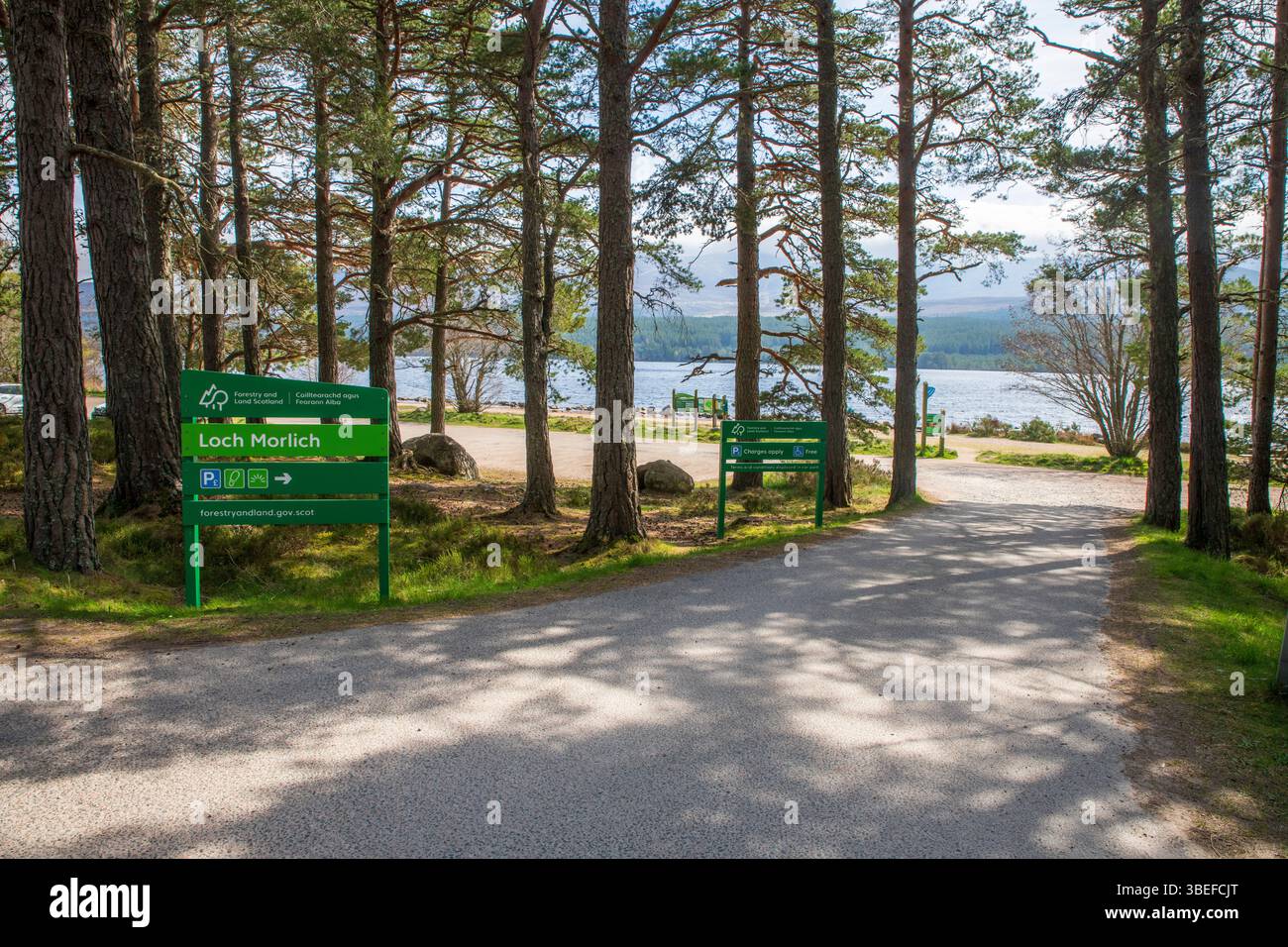 Loch Morlich mit seinem Sandstrand und Waldwegen – ein berühmter Schönheitsort am Fuße der Cairngorm Mountains in Schottland. Stockfoto