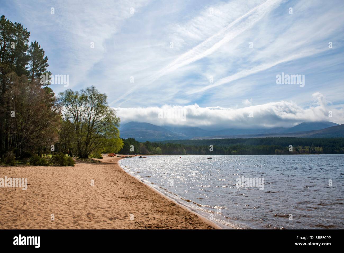 Loch Morlich mit seinem Sandstrand und Waldwegen – ein berühmter Schönheitsort am Fuße der Cairngorm Mountains in Schottland. Stockfoto