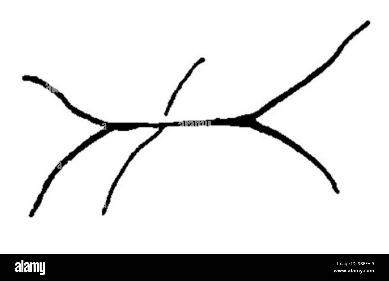 In „Voyage dans le Midi de la France“ skizziert Stendhal die gewölbte Decke der Kirche in Irun. Dieses Werk von 1838 zeigt seine scharfe Beobachtung von Architektur und Landschaft während seiner Reisen in Südfrankreich. Stockfoto