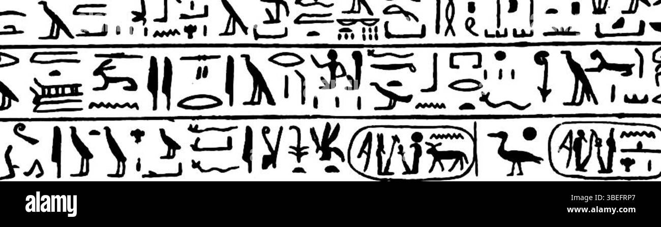 Diese Zeichnung von William M. Flinders Petrie aus dem Jahr 1897 zeigt ein Spiegelbild der Merenptah Stele, eine altägyptische Inschrift aus dem 13. Jahrhundert v. Chr.. Die Stele dokumentiert Merenptahs militärische Feldzüge und ist ein wichtiges Artefakt in der Erforschung der ägyptischen Geschichte. Stockfoto