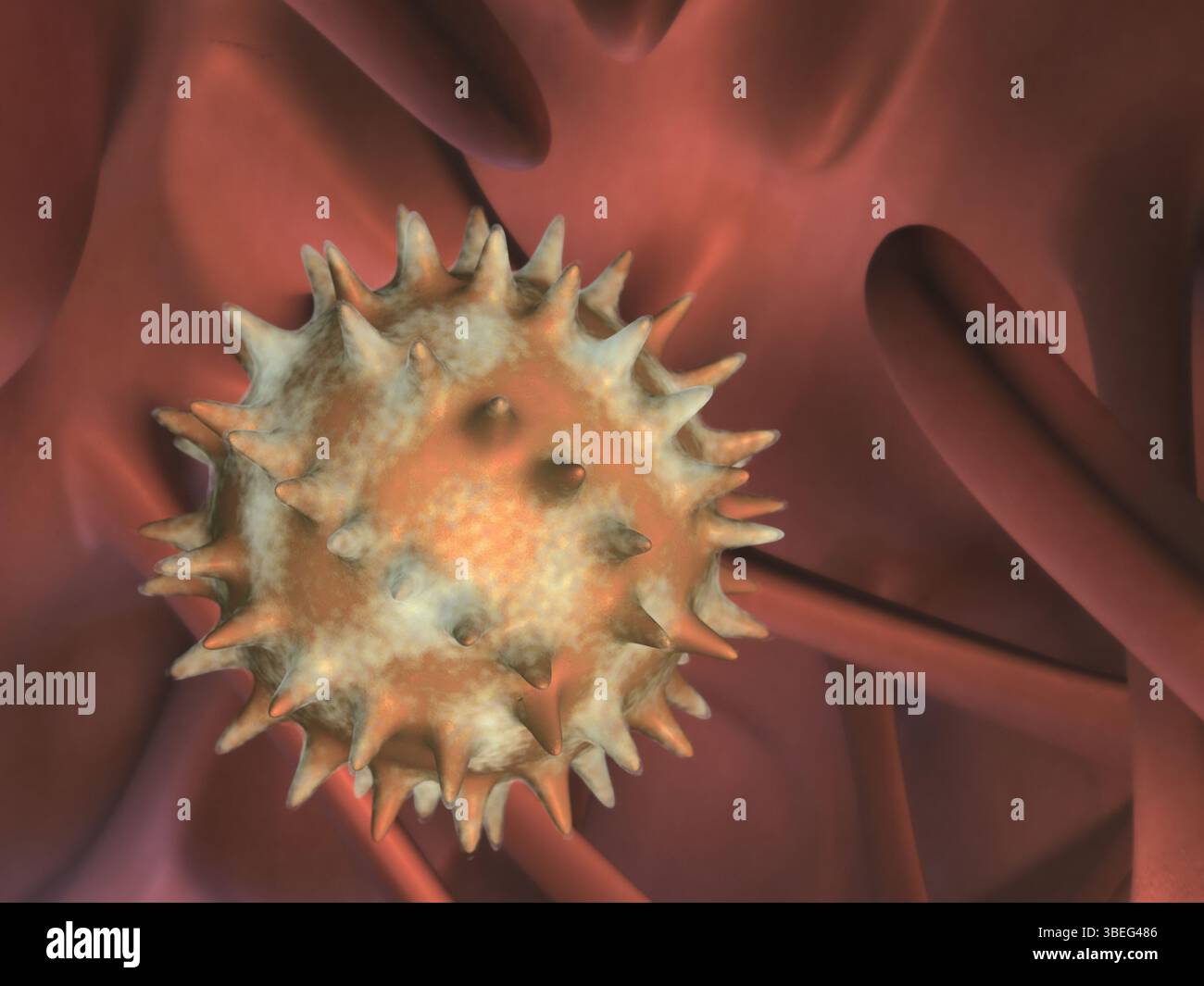 Ein Virus, das in den menschlichen Körper gelangt. CGI-Abbildung. Stockfoto