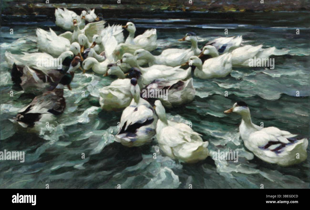 Ducks in a Pond von Alexander Koester (1864–1932) zeigt eine ruhige Szene von Enten in einem Teich und fängt die Ruhe der Natur ein. Die Arbeit zeigt Koesters Expertise in der Tiermalerei und seine Liebe zum Detail in der Darstellung von Tieren und Wasser. Stockfoto