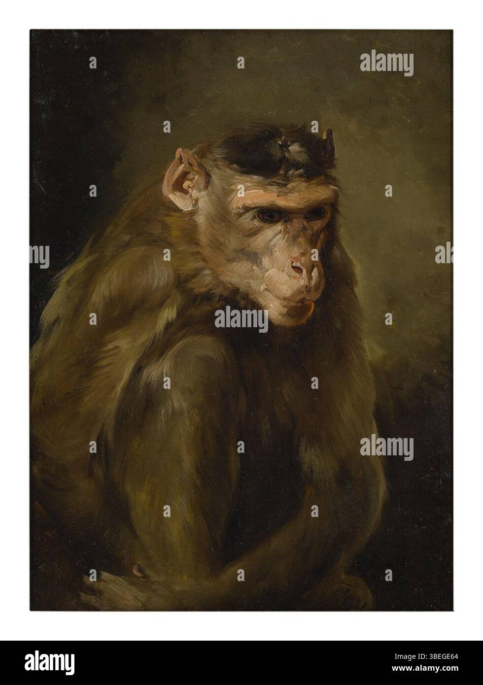 Ein Porträt eines Affen aus dem 19. Jahrhundert, das in der niederländischen Schultradition entstanden ist. Das Bild spiegelt die Faszination der Epoche wider, Tiere in menschenähnlichen Posen darzustellen, ein populäres Genre in den Niederlanden während dieser Zeit. Stockfoto