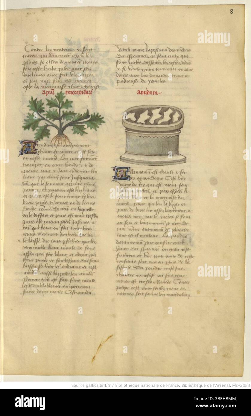 *Arsenal, ms-2888*, Folio 008r, erstellt zwischen 1425 und 1450, präsentiert ein weiteres detailliertes Beispiel mittelalterlicher Handschriften. Das Folio enthält sowohl Text als auch Ornamente, die in Manuskripten dieser Zeit üblich waren. Stockfoto *Arsenal, ms-2888*, Folio 008r, erstellt zwischen 1425 und 1450, präsentiert ein weiteres detailliertes Beispiel mittelalterlicher Handschriften. Das Folio enthält sowohl Text als auch Ornamente, die in Manuskripten dieser Zeit üblich waren. Stockfoto