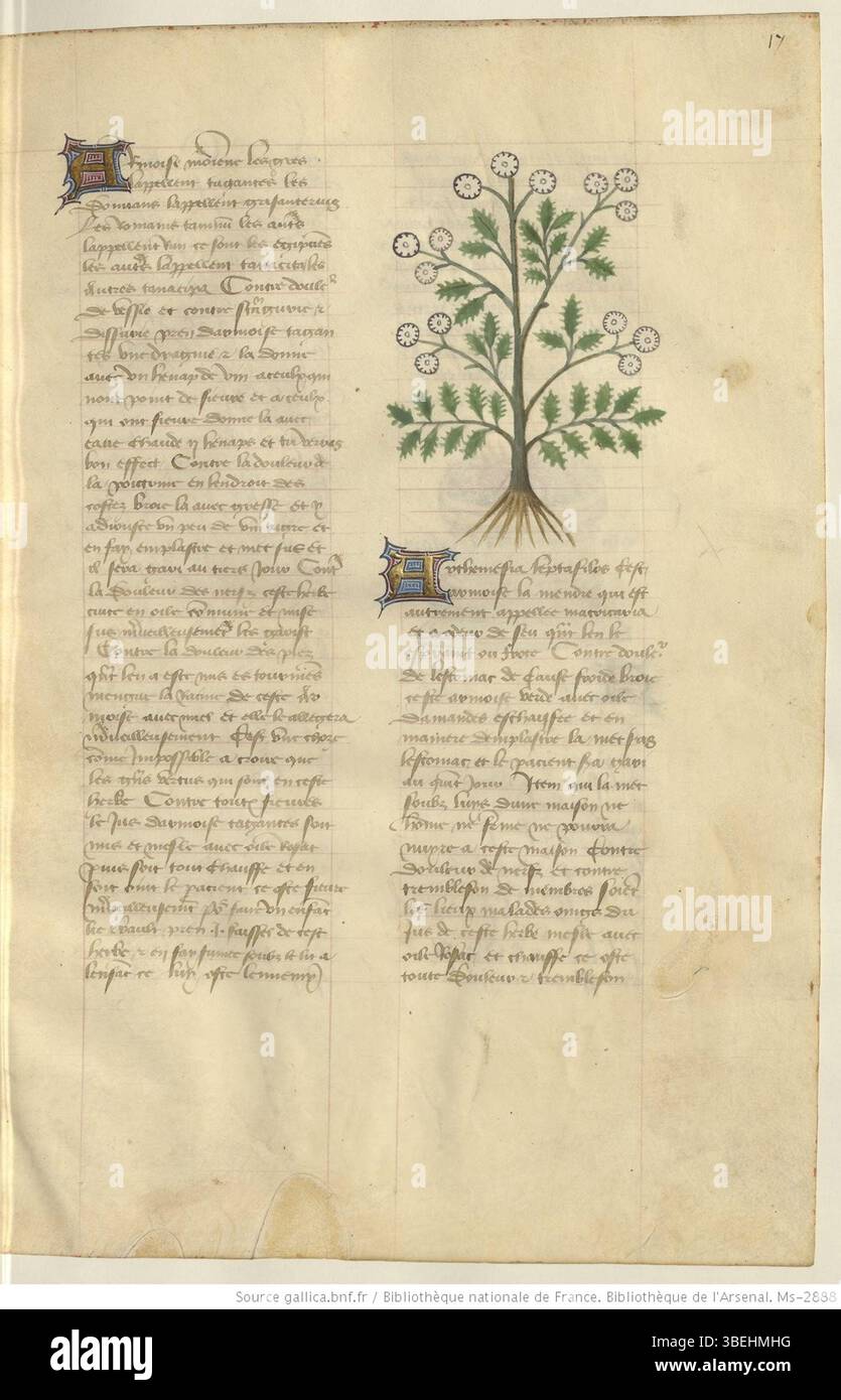 Folio 017r aus *Arsenal, ms-2888*, datiert zwischen 1425 und 1450, ist ein reiches Beispiel mittelalterlicher Manuskriptkunst und zeigt die Kombination von Text und kunstvollen Beleuchtungen, die für diese Zeit charakteristisch sind. Stockfoto Folio 017r aus *Arsenal, ms-2888*, datiert zwischen 1425 und 1450, ist ein reiches Beispiel mittelalterlicher Manuskriptkunst und zeigt die Kombination von Text und kunstvollen Beleuchtungen, die für diese Zeit charakteristisch sind. Stockfoto