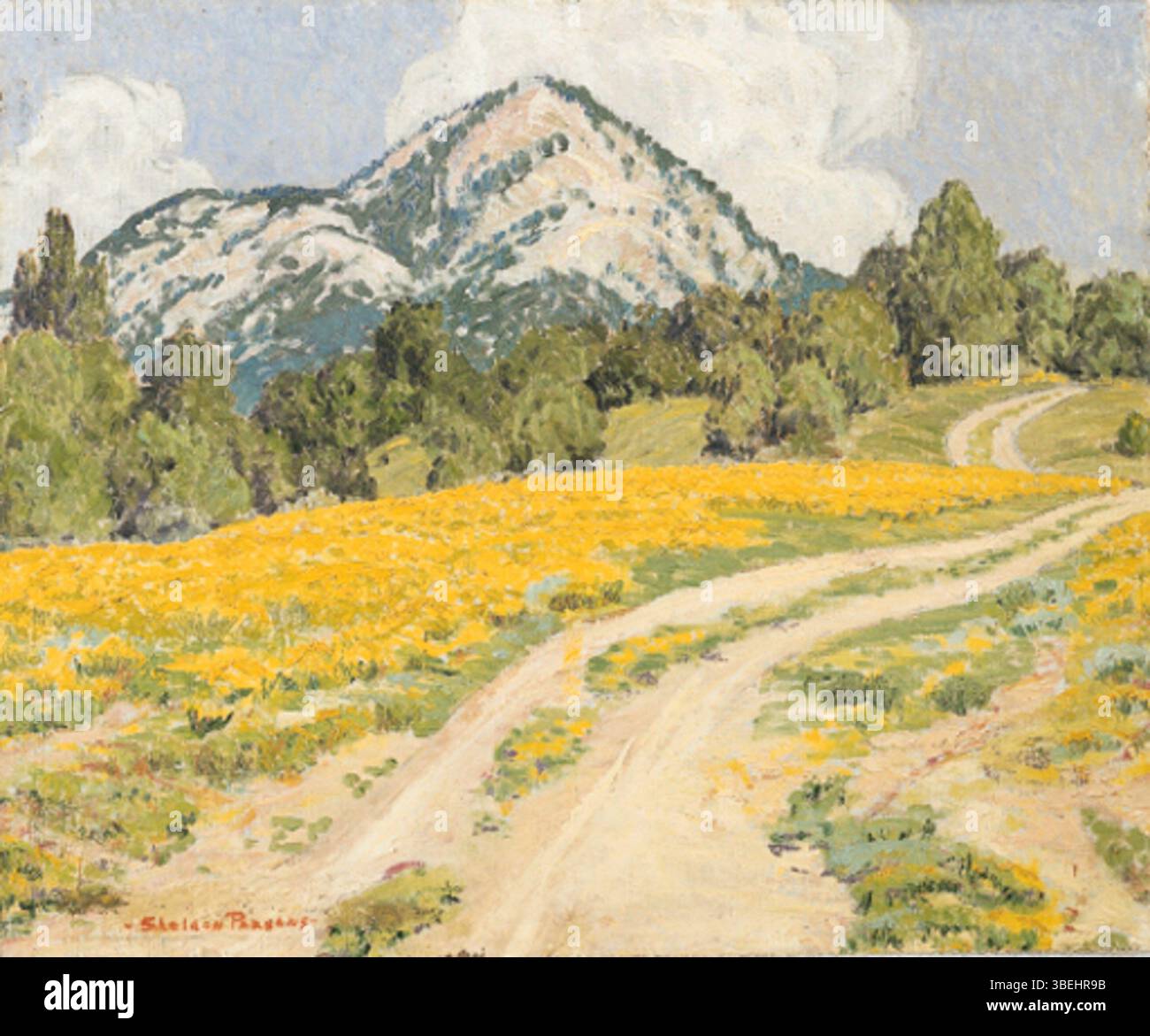 Orrin Sheldon Parsons *Field of Yellow* ist ein lebendiges Landschaftsgemälde mit einem gelben Blumenfeld, das die natürliche Schönheit der amerikanischen Landschaft einfängt. Stockfoto