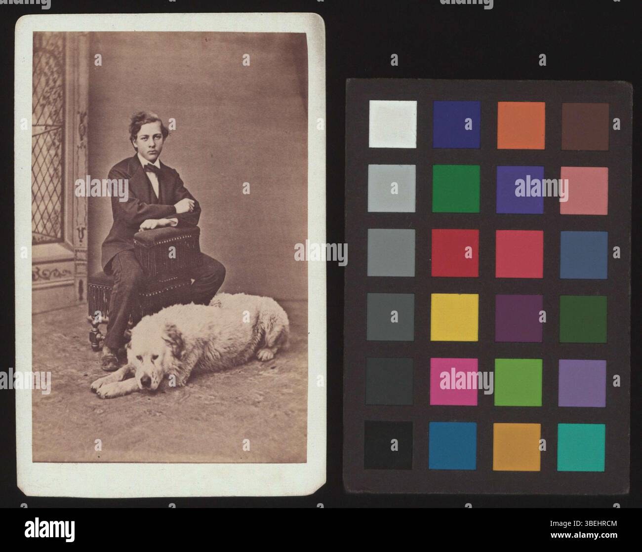 *Portrait of August Vonder Mühll-Christ* (um 1884) ist ein auf Karton montiertes Schwarz-weiß-Foto, das die Ähnlichkeit von August Vonder Mühll-Christ im Stil des späten 19. Jahrhunderts darstellt. Stockfoto