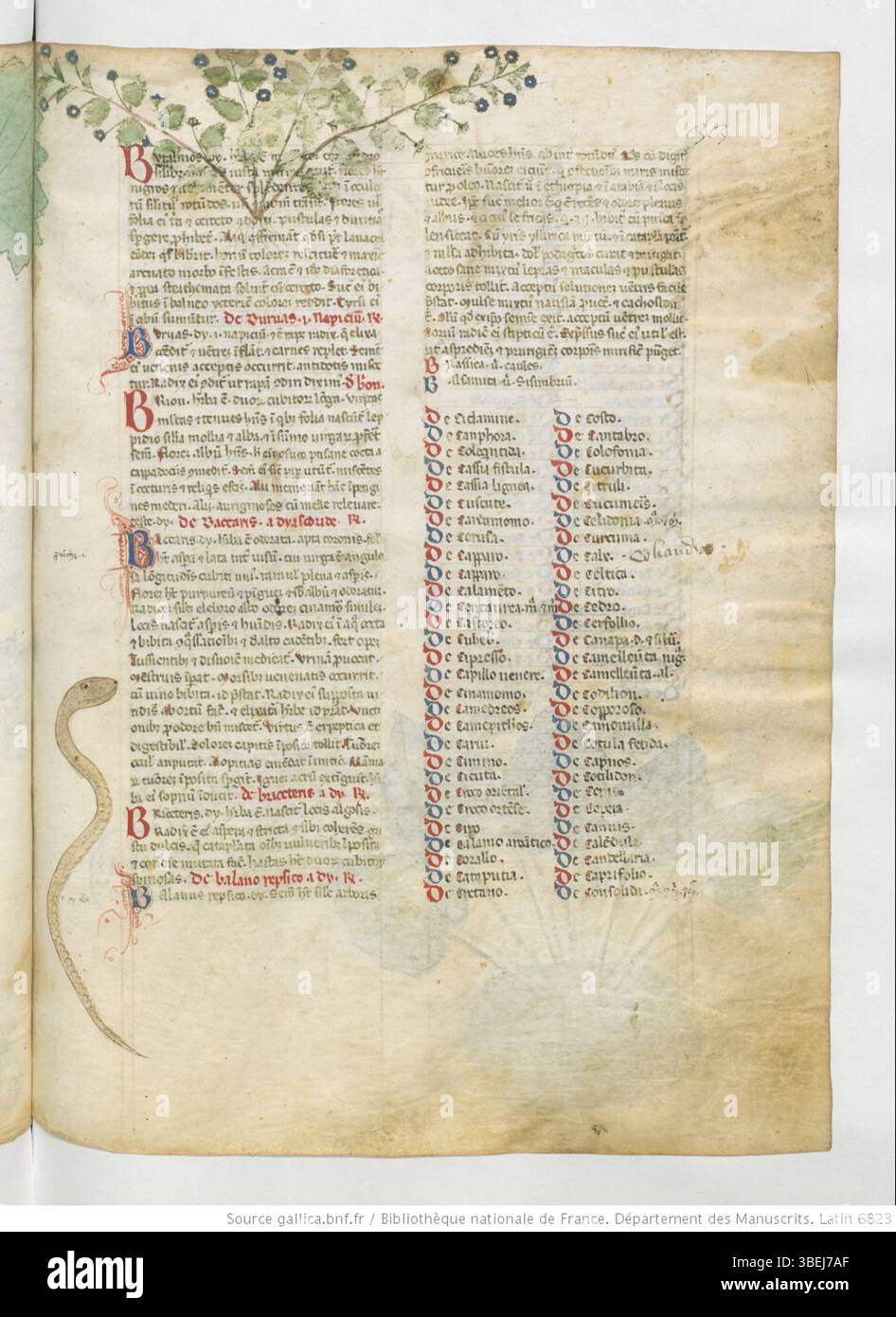 Folio 033r aus BnF Latin 6823 präsentiert die Schriften von Manfredus de Monte Imperiali, die zum wissenschaftlichen Verständnis der Theologie und Philosophie des 14. Jahrhunderts beitragen. Dieses Manuskript veranschaulicht die intellektuelle Strenge der mittelalterlichen europäischen Wissenschaft. Stockfoto