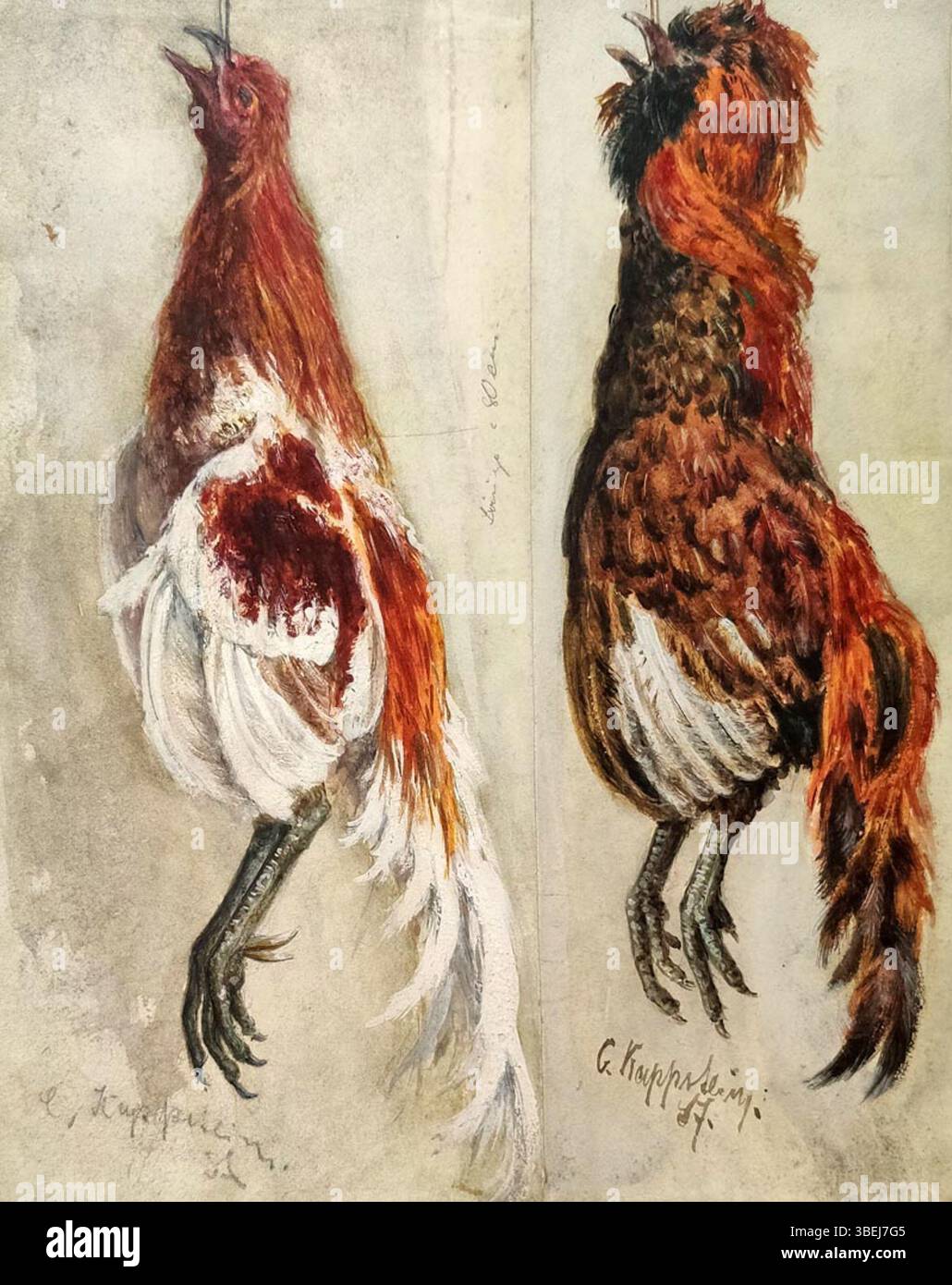 *Zwei Tierstudien* von Carl Friedrich Kappstein zeigen detaillierte Studien an zwei Tieren. Die präzise Darstellung der Anatomie des Künstlers spiegelt sein Interesse am Naturalismus und der detaillierten Darstellung von Tieren in der Kunst wider. Stockfoto