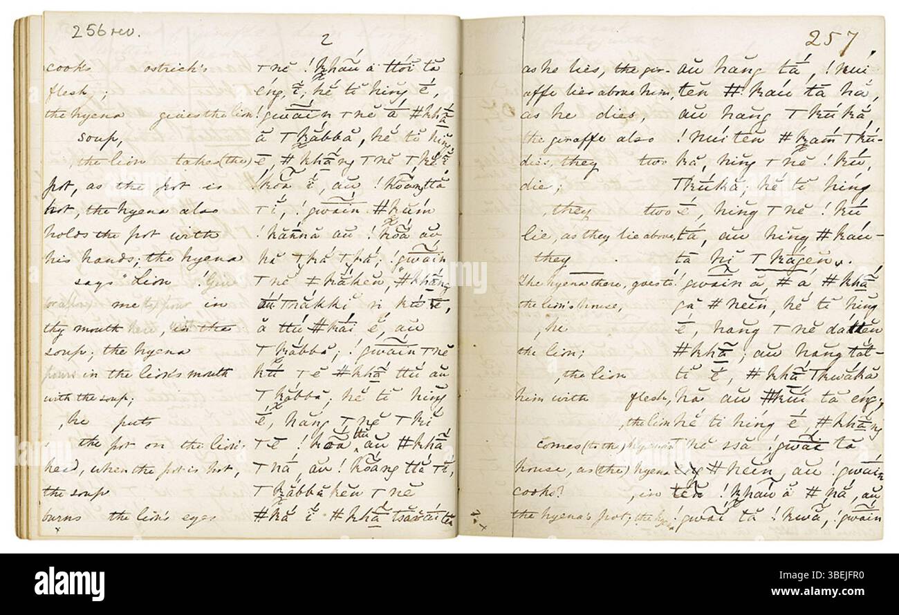 Lucy Lloyds Geschichte über den Löwen und die Giraffe, beigesteuert von Kabbo (Jantje), erzählt eine historische Erzählung, die kulturelle Traditionen und Geschichten der indigenen Khoikhoi in Südafrika widerspiegelt. Stockfoto