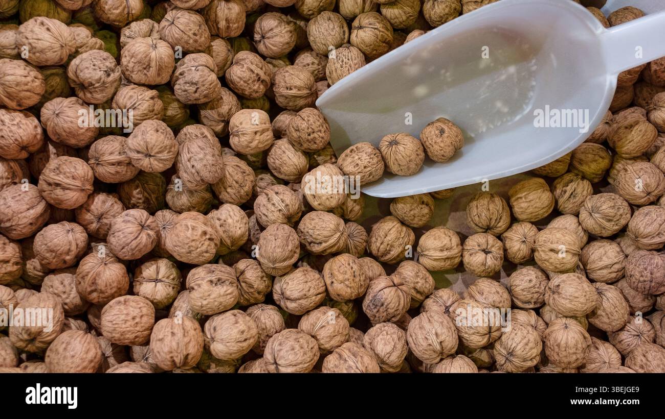Großer Haufen von ganzen, ungeschalen Walnüssen in einem Korb mit einer Plastiklöffel darauf gelegt, was auf einen Großkauf auf einem Bauernmarkt hindeutet Stockfoto
