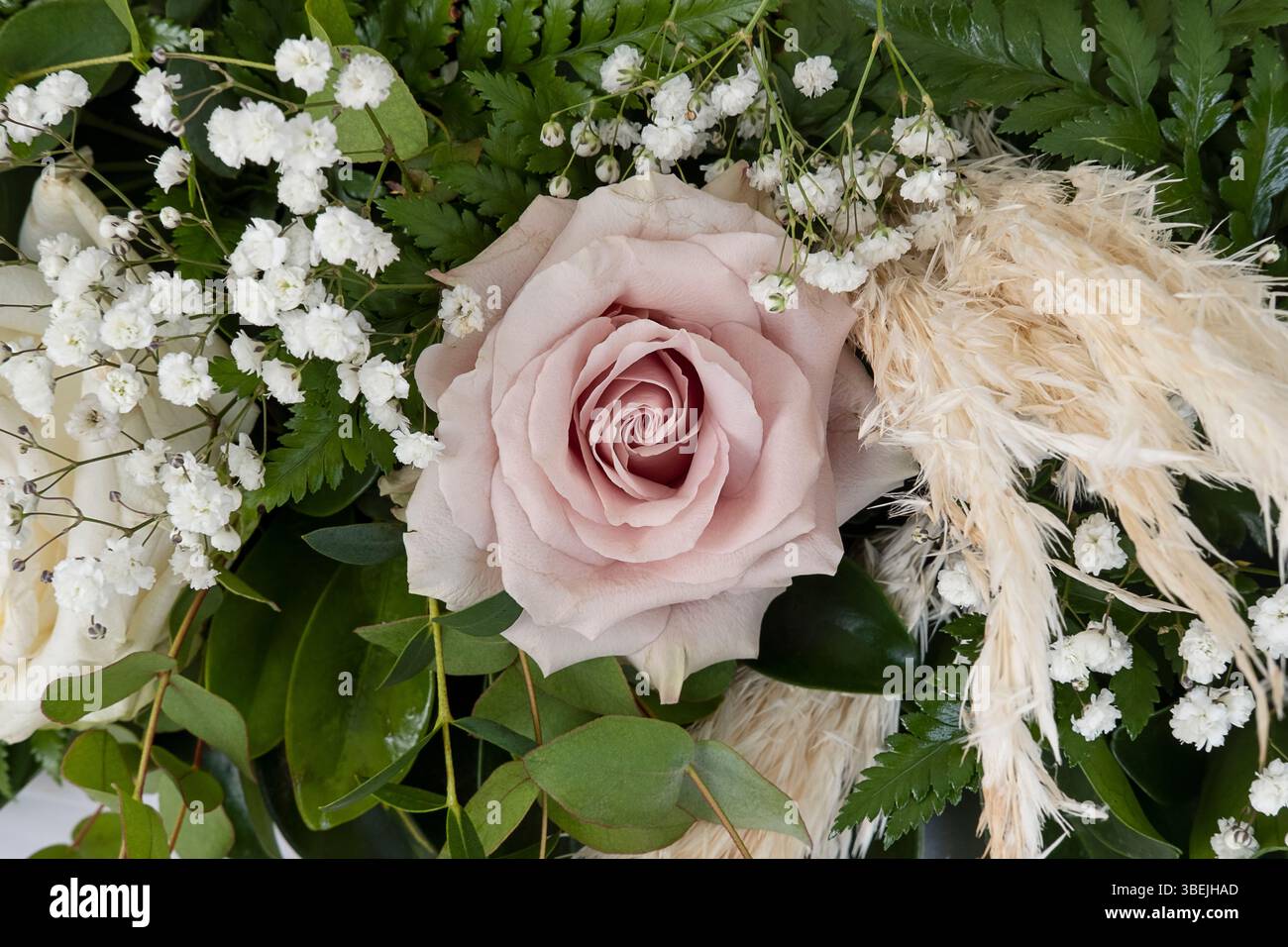 Blumenarrangements mit einer weichen, staubigen rosa Rose in der Mitte, umgeben von zarten weißen Babyblüten und cremigem Pampasgras Stockfoto