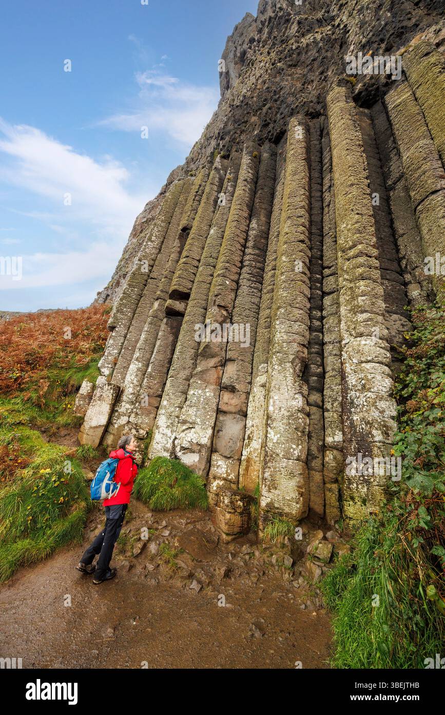 Die Orgel, Giant's Causeway, Co. Antrim, Irland Stockfoto