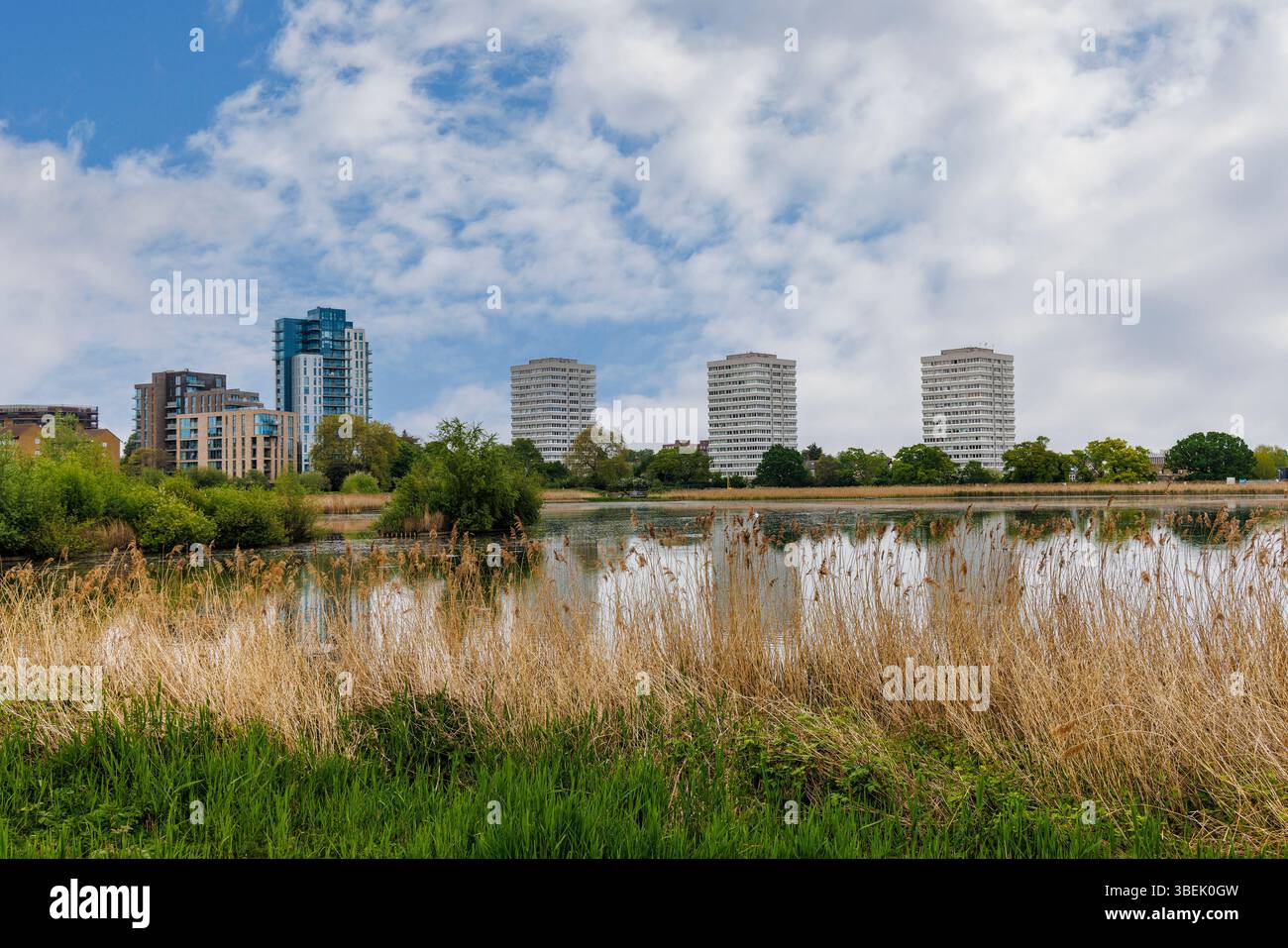 Das Reservoir ist heute ein Naturschutzgebiet, Woodberry Wetlands, mit Lincoln Court Tower Blocks, Hackney, London, England, Großbritannien Stockfoto