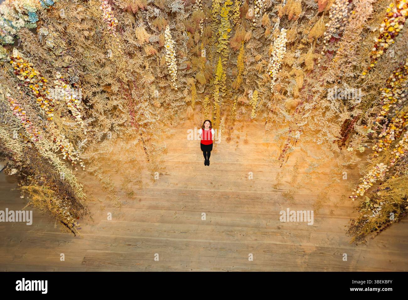 London, Großbritannien. Mai 2025. Mitarbeiter der Galerie mit „La Fleur Morte“, 2025, einer großformatigen Installation der international renommierten Künstlerin Rebecca Louise Law, die über 100.000 getrocknete Blumen enthält. Als Reaktion auf die Nachfrage der Bevölkerung eröffnet die Saatchi Gallery „Blumen - Flora in Contemporary Art & Culture“ wieder und feiert die außergewöhnliche Vielfalt der Flora in Kunst und Kultur. Die Ausstellung wird vom 30. Mai bis 31. August wieder eröffnet. Quelle: Imageplotter/Alamy Live News Stockfoto