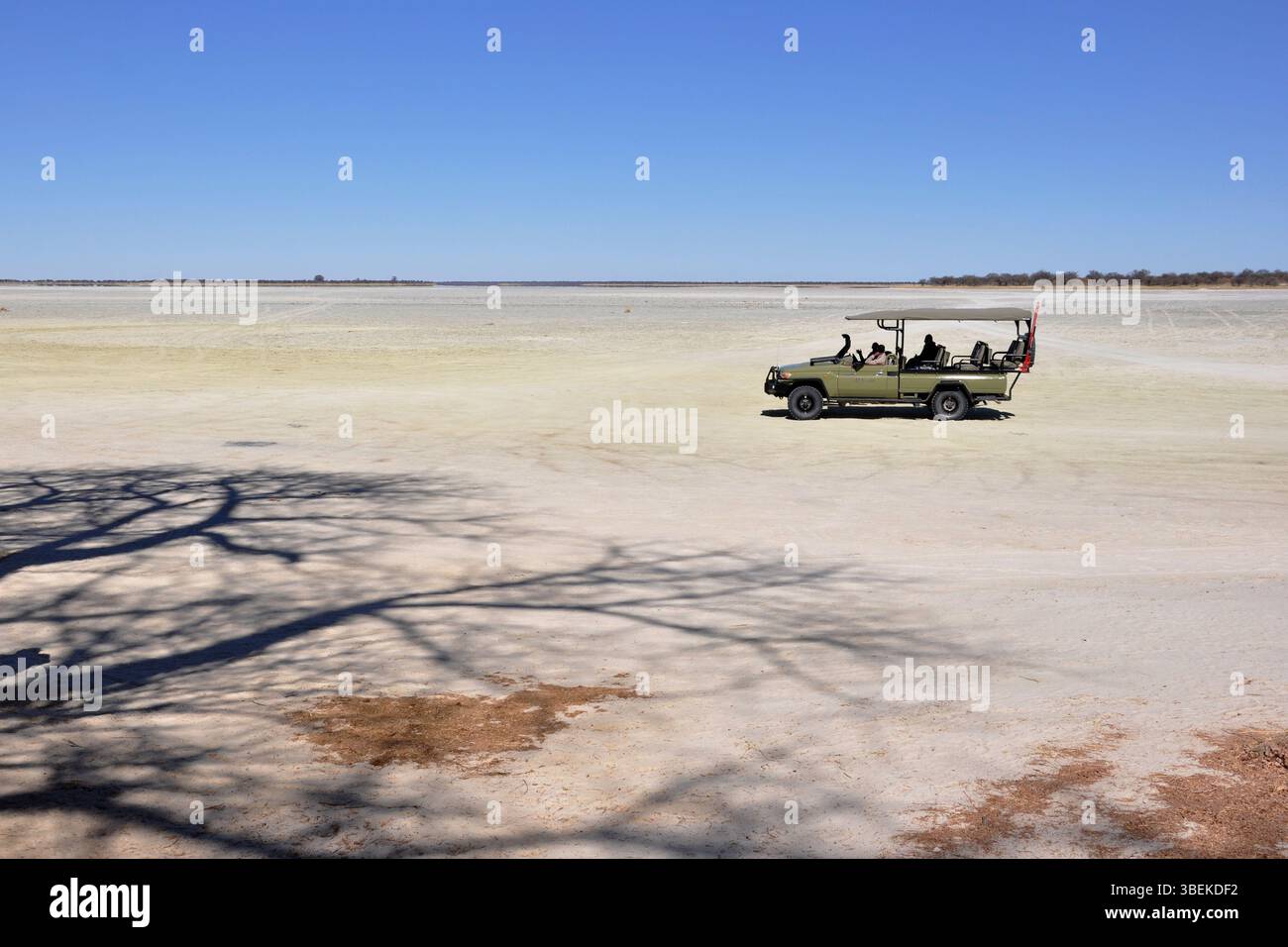 Botswana. Makgadikgadi Pan. Stockfoto