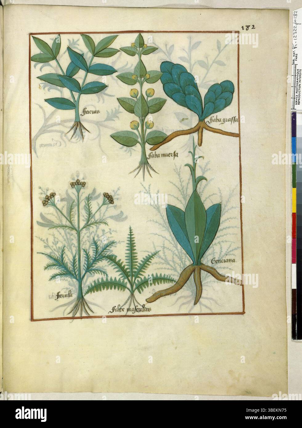 Dieses Folio von BnF Francais 12322, das zwischen 1520 und 1530 entstanden ist, zeigt eine bedeutende Seite französischer Manuskripte der frühen Renaissance, die kulturelle und literarische Themen der Epoche hervorhebt. Stockfoto