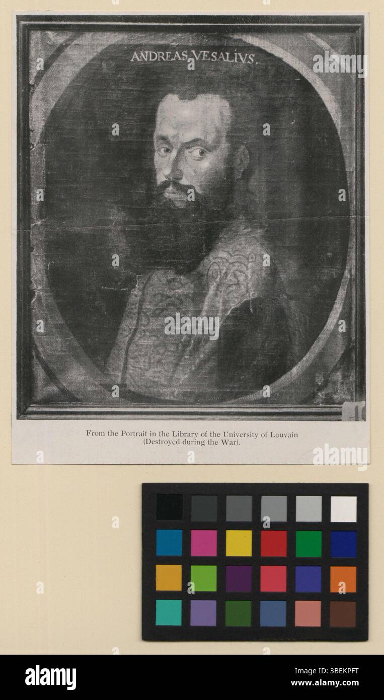 Dieses Schwarzweiß-Bild von Andreas Vesalius, das zwischen 1700 und 1799 entstanden ist, zeigt die einflussreiche Persönlichkeit in der Geschichte der Anatomie, die für seine Pionierstudien bekannt ist. Stockfoto