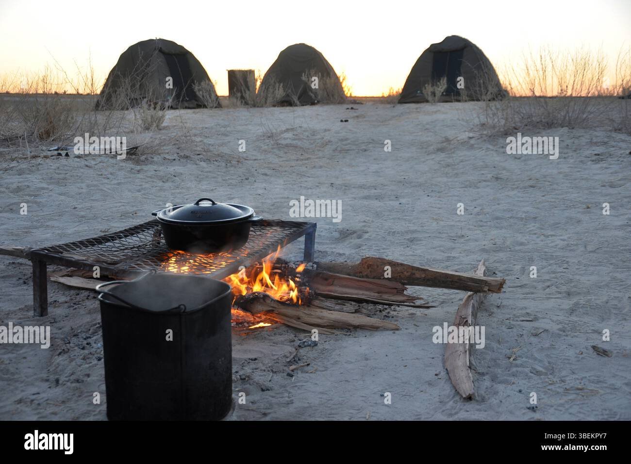 Botswana. Makgadikgadi Pan. Stockfoto
