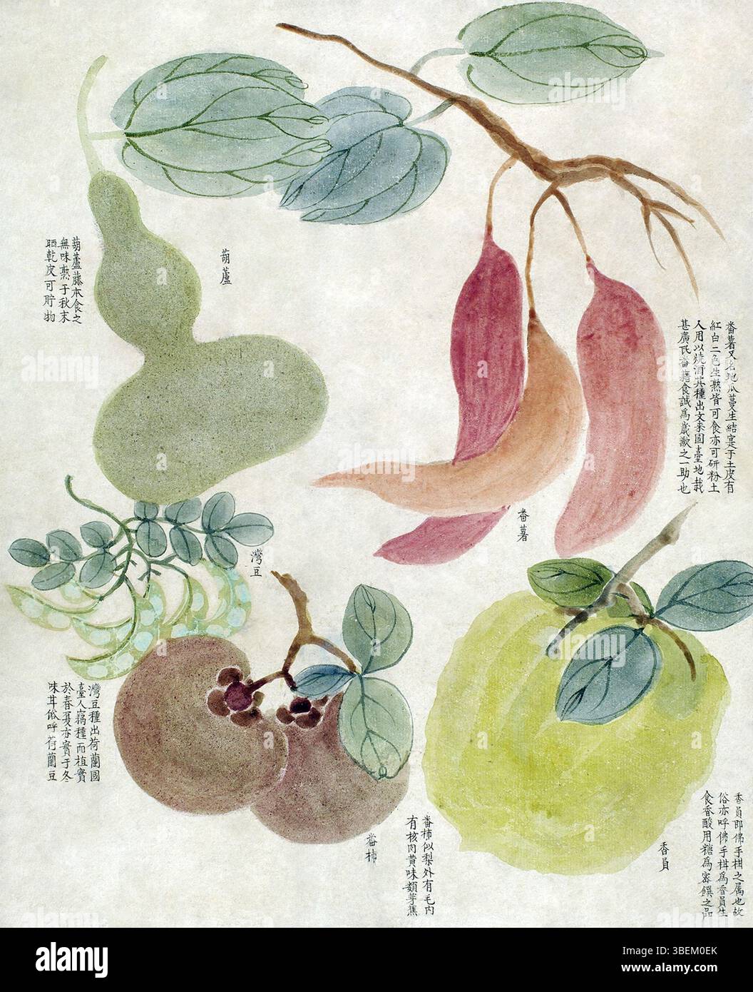 Porträt von Joseph-Yves Limantour, einem französischen Politiker und Diplomaten, wahrscheinlich um 1870 gemalt. Limantour war eine Schlüsselfigur in der mexikanischen Politik im 19. Jahrhundert. Stockfoto