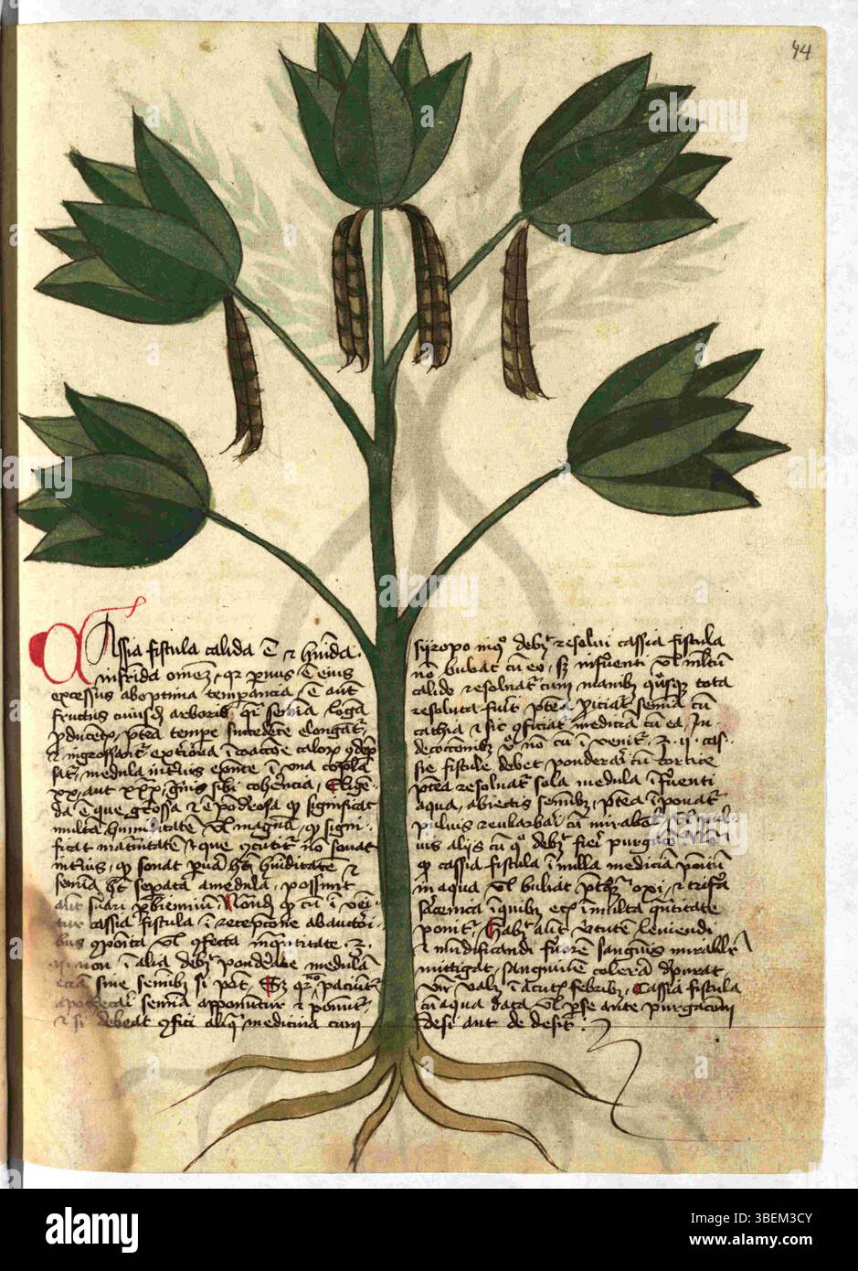 München Cim. 79, f.044r, datiert nach 1440, bietet ein anschauliches Beispiel des spätmittelalterlichen deutschen Handschriftenstils. Das Folio enthält detaillierte Illustrationen und religiöse Texte, die die spirituellen und künstlerischen Anliegen der Zeit widerspiegeln. Stockfoto