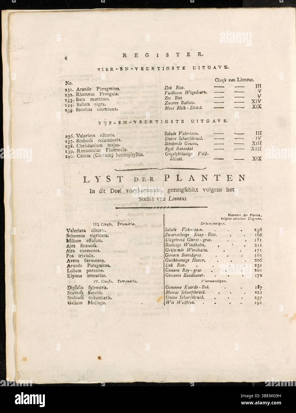 Diese Seite enthält Pflanzen aus Band 3 von *Flora Batava*, zusammengestellt von Jan Kops (1765–1849), veröffentlicht 1814. Die Liste enthält verschiedene Arten, die in den botanischen Arbeiten beschrieben und veranschaulicht wurden, was den wissenschaftlichen Ansatz zur Klassifizierung der Flora im frühen 19. Jahrhundert widerspiegelt. Stockfoto