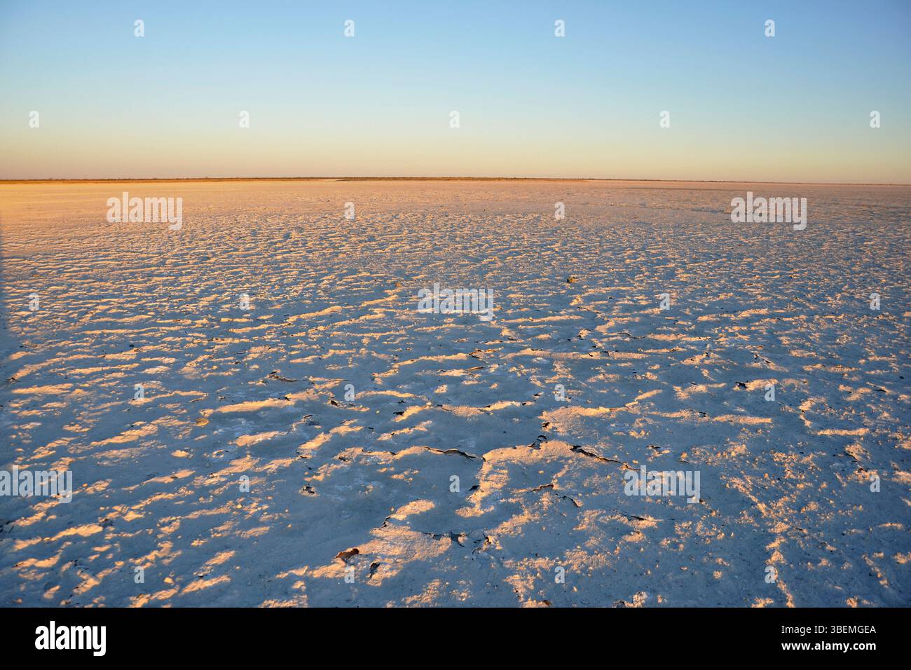 Botswana. Makgadikgadi Pan. Stockfoto