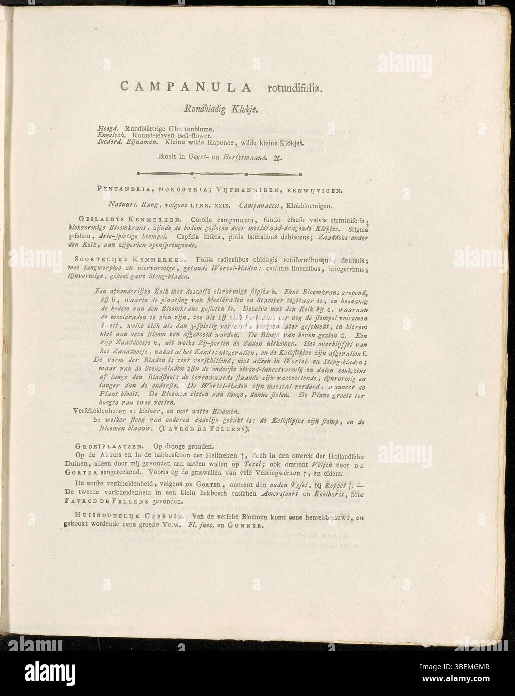 Diese Platte zeigt die Campanula rotundifolia oder Harebell, die von Jan Kops 1822 beschrieben wurde. Die Illustration konzentriert sich auf die glockenförmigen Blüten und die langen, schlanken Blätter der Art. Diese Pflanze ist bekannt für ihre Verbreitung in europäischen Wiesen und Wäldern und zeichnet sich durch zarte blaue Blüten aus, die sowohl optisch als auch ökologisch bedeutsam sind. Stockfoto