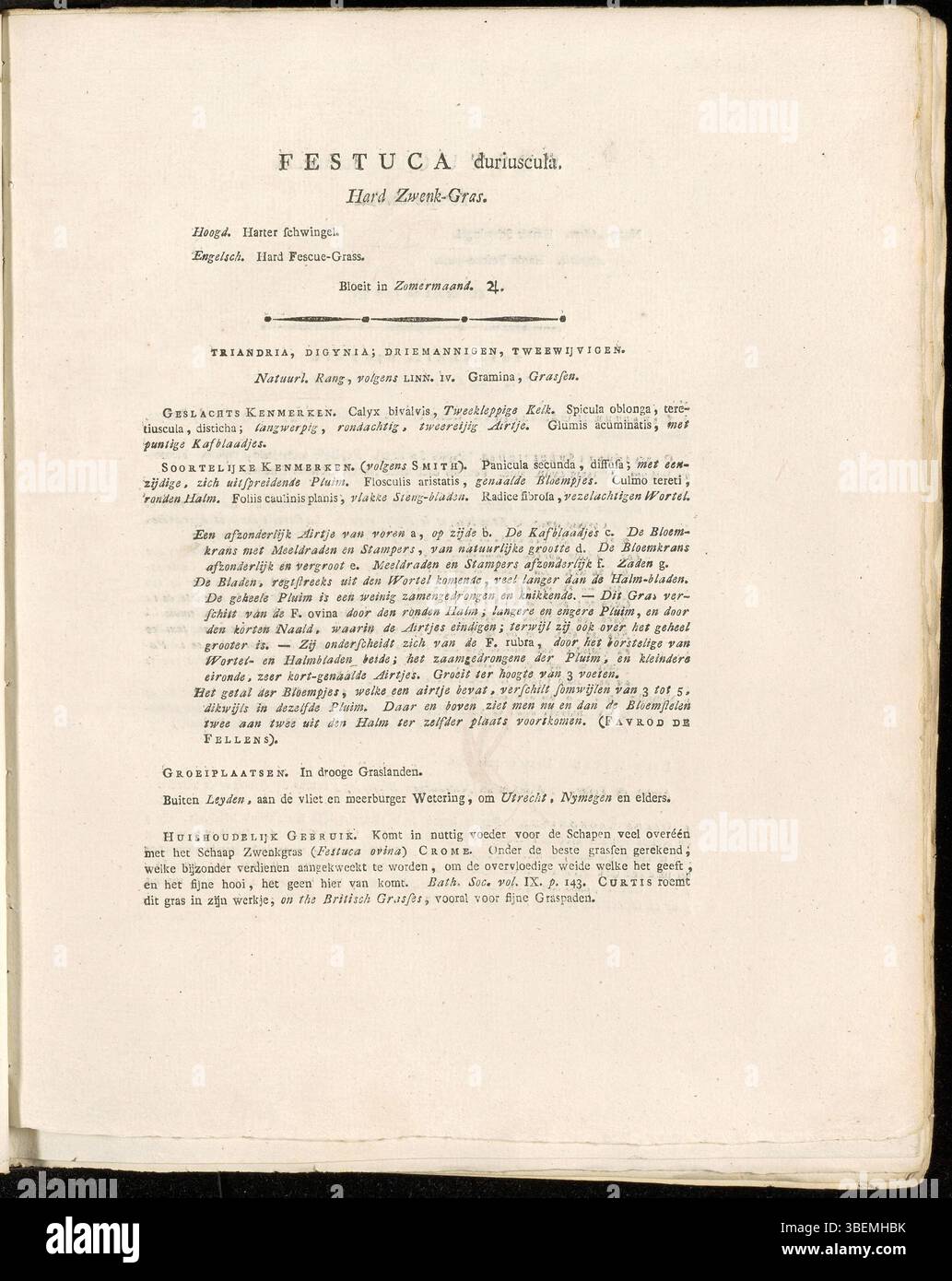 Niederländische Beschreibung von Festuca duriuscula, heute als Festuca-Aggregat klassifiziert, auf Platte 0271 von Flora Batava von Jan Kops im Jahr 1822. Stockfoto