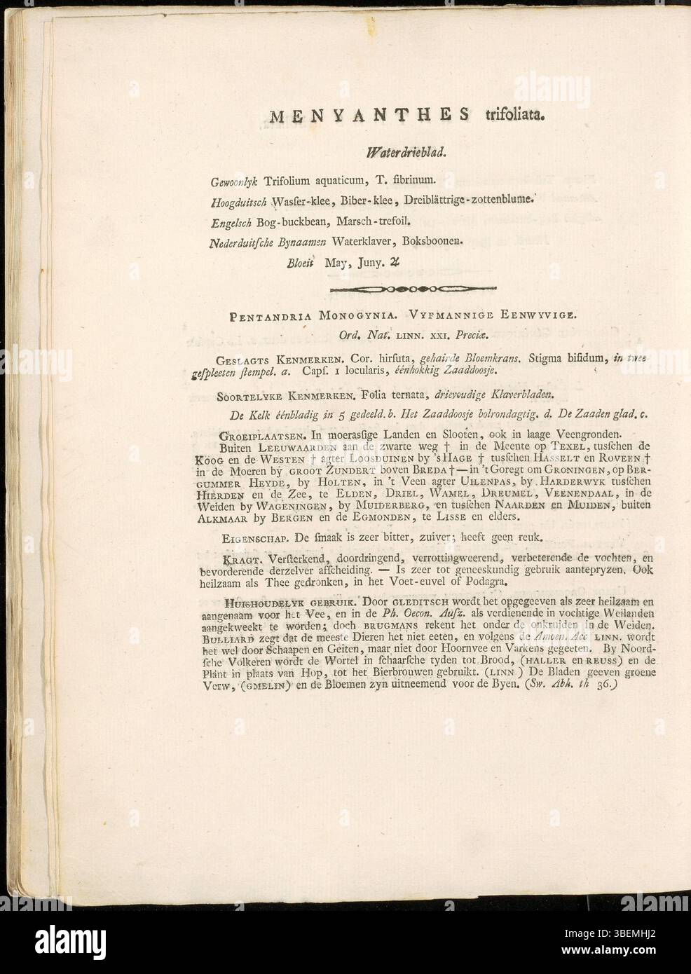 Botanische Beschreibung von Menyanthes trifoliata (Bogbean) aus dem Jahr 1800 in Niederländisch, von Jan Kops, mit Platte 0002 aus Flora Batava. Stockfoto