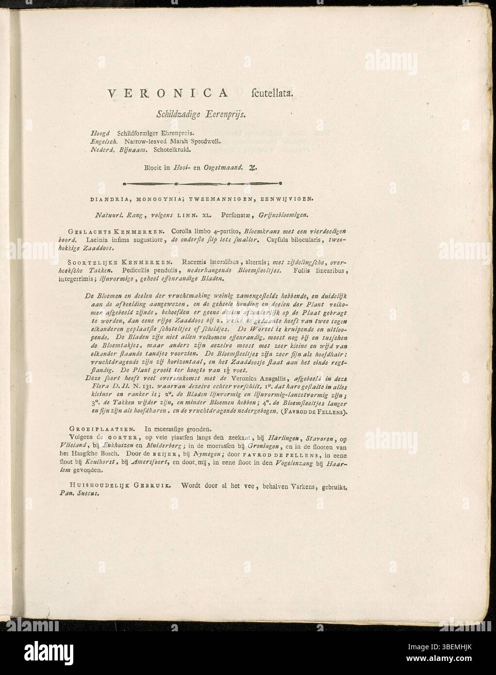 Die Flora Batava Platte (0286) von Jan Kops zeigt Veronica scutellata, begleitet von einer ausführlichen Beschreibung auf Niederländisch. Die 1822 entstandene Illustration gibt Einblicke in die botanischen Merkmale der Pflanze, was die Identifizierung und das Verständnis dieser Art im Kontext der europäischen Flora erleichtert. Stockfoto