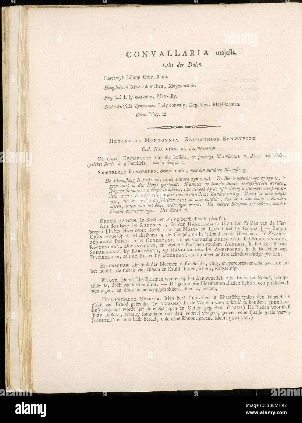 Convallaria majalis, oder Lilie des Tals, ist auf der Platte 0006 von Jan Kops' Flora Batava aus dem Jahr 1800 zu sehen. Die Illustration zeigt die zarten Blüten der Pflanze und ihren Lebensraum und bietet wertvolle Einblicke in die Art für botanische Studien in den Niederlanden. Stockfoto