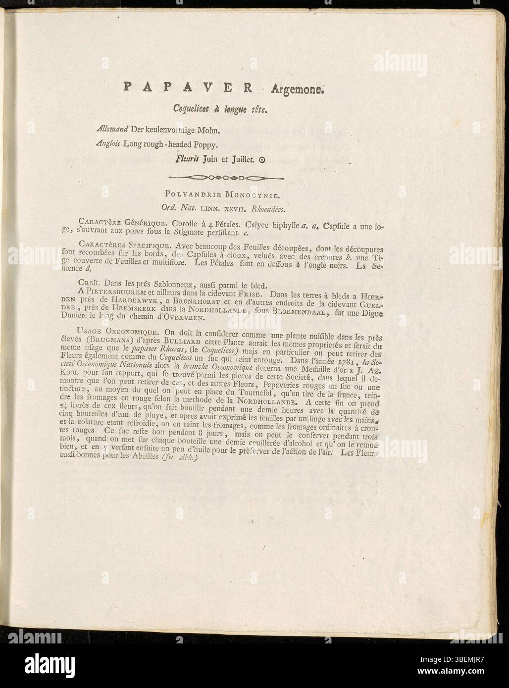 Platte 0015 von Jan Kops' Flora Batava zeigt *Papaver argemone*, eine Mohnart aus Europa. Die botanische Zeichnung von 1800 hebt den charakteristischen Dornstiel und die großen, auffälligen roten Blüten hervor. Stockfoto
