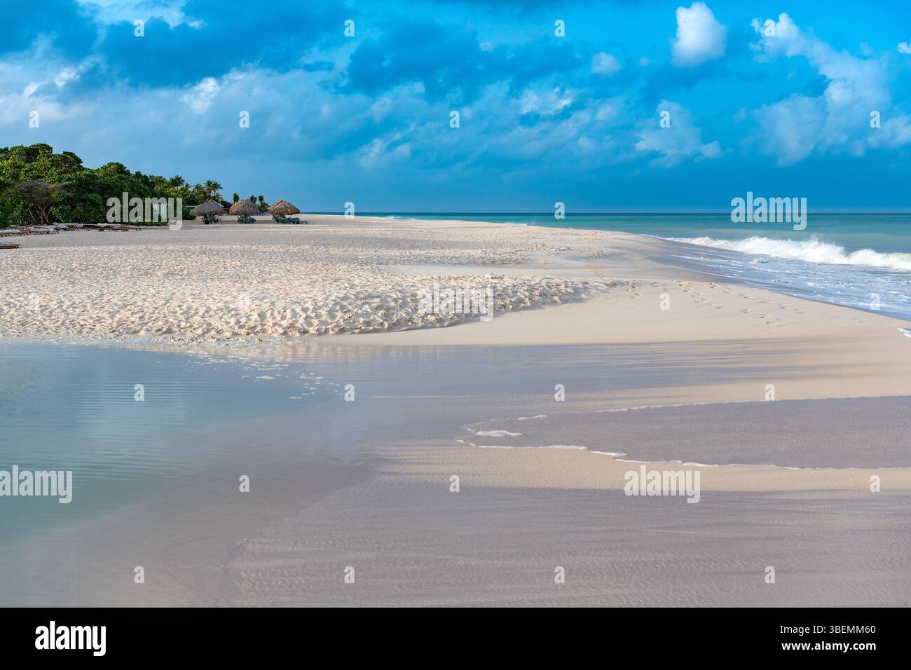 Eagle Beach, Aruba, bietet weichen weißen Sand und sanfte türkisfarbene Wellen. Es ist ein tropisches Paradies für ruhige Momente und atemberaubende natürliche Schönheit. Stockfoto