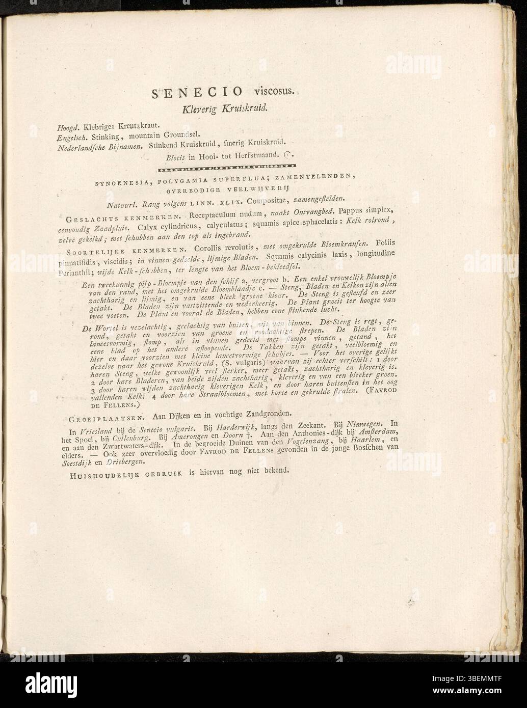 Eine niederländische botanische Beschreibung von Senecio viscosus aus dem Jahr 1822, dargestellt als Platte 0270 in der Flora Batava von Jan Kops. Stockfoto
