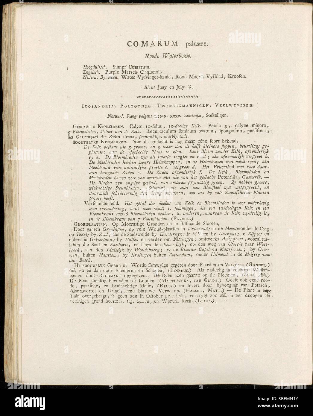 Platte 0135 aus Jan Kops' Flora Batava (1807) zeigt Comarum palustre, allgemein bekannt als Sumpfmarigold. Die Platte bietet eine botanische Beschreibung dieser Wasserpflanze und hebt ihre Blüten und ihren Lebensraum in europäischen Feuchtgebieten hervor. Stockfoto