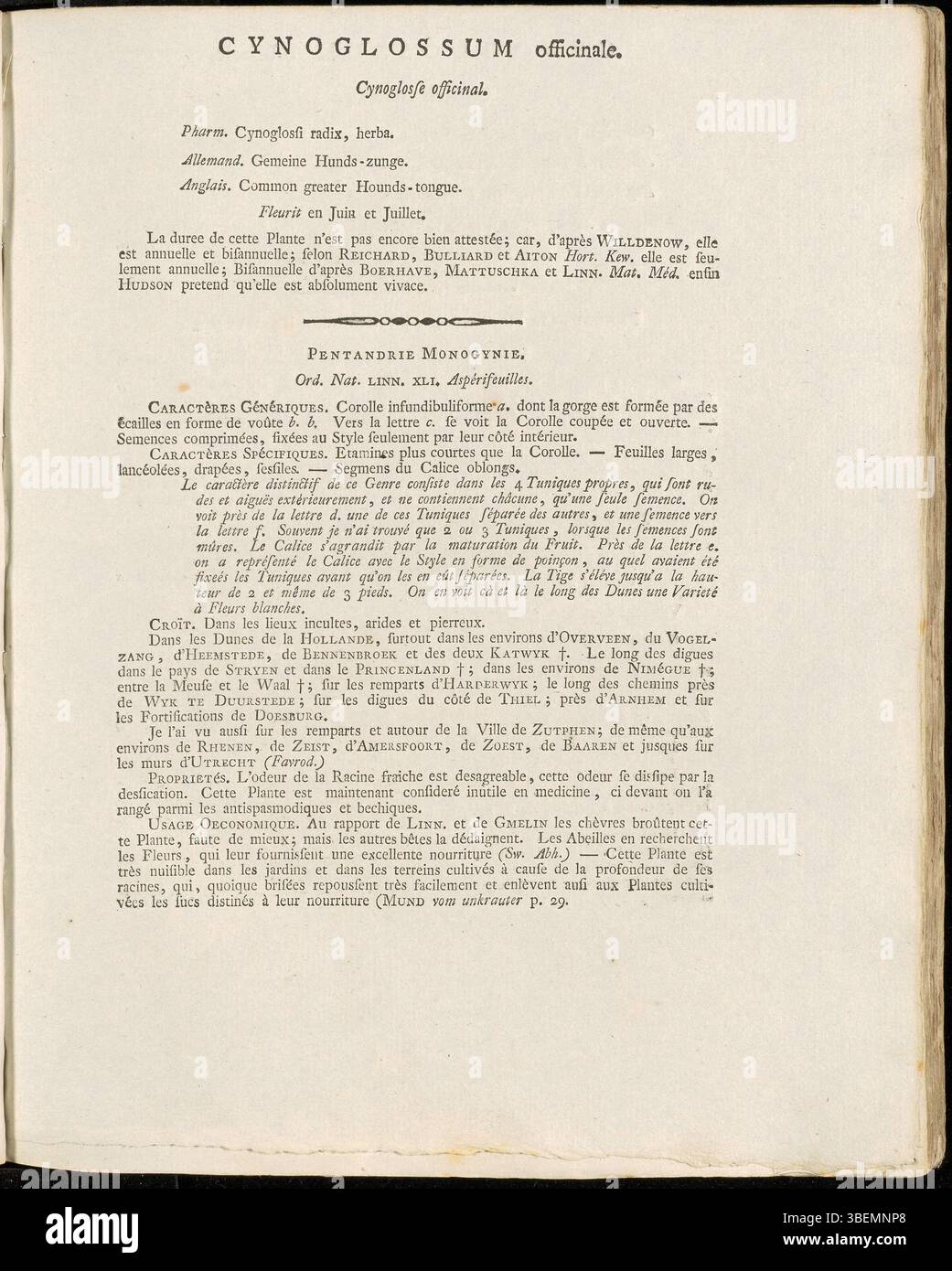 Eine französische Version von Jan Kops' 1800 Illustration von *Cynoglossum officinale* (Hundezunge), veröffentlicht in *Flora Batava*. Die Abbildung zeigt die wichtigsten Merkmale der Anlage. Stockfoto